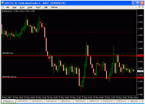 euraud.gif‏