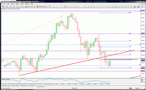 nzd.gif‏