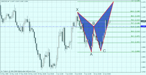 usd_cad_bearish-butterfly.gif‏