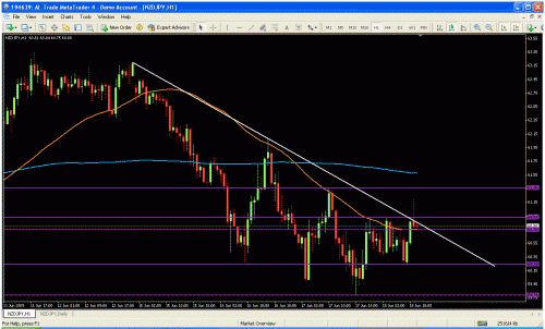 nzd1.gif‏