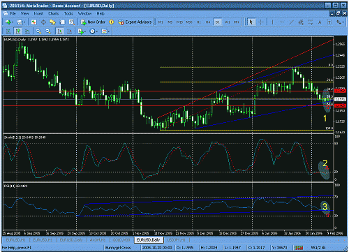 euro.gif‏