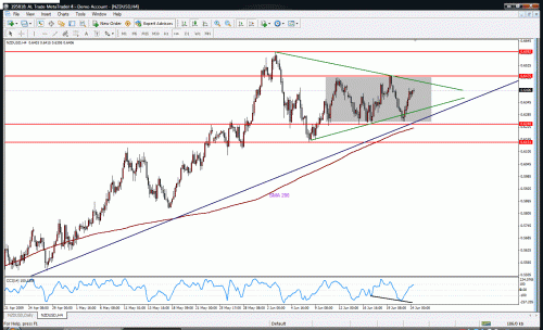 nzd.gif‏