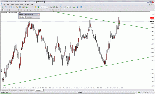 nzd.gif‏