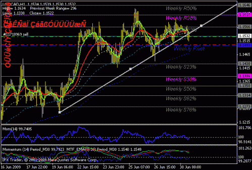 usdcad.gif‏