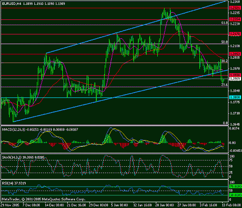 eur-usd-13-02-2006.gif‏