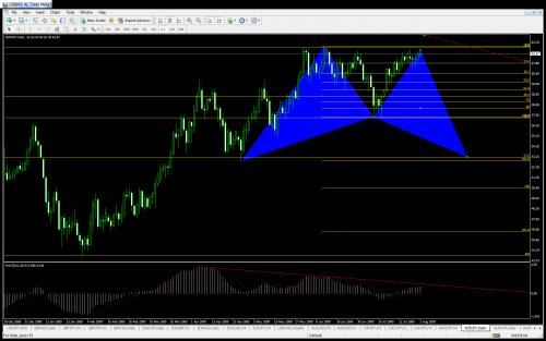 nzdjpy2408-2.jpg‏