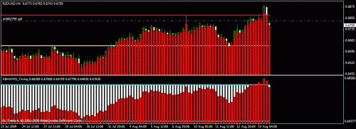 nzd1.gif‏