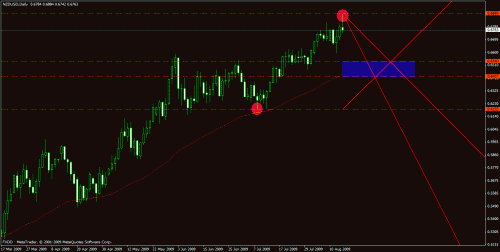 eudusd1.gif‏