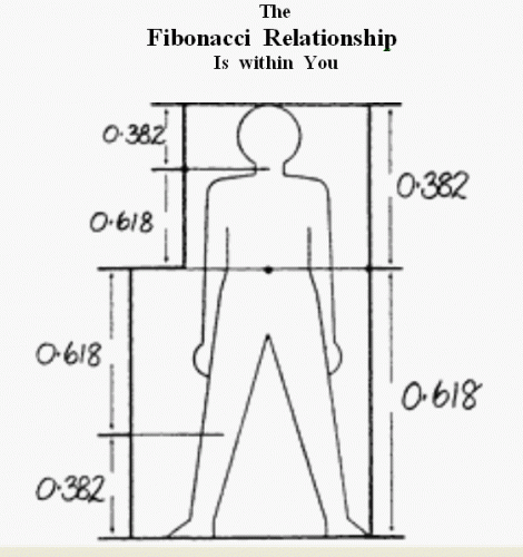 Fibonacci%20Relationship.gif‏