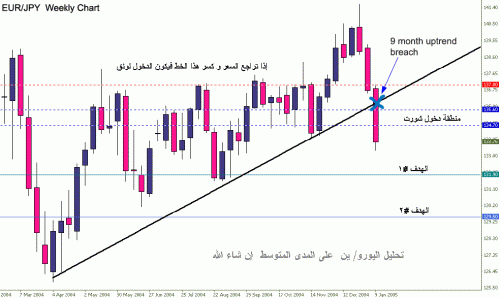 eurjpy16012005ar.gif‏