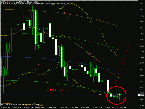 usd.gif‏