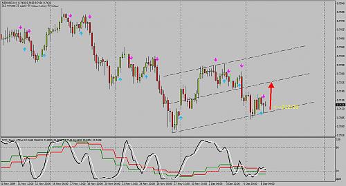 nzd.jpg‏