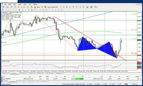 usdjpy291209wafi-resulta.gif‏