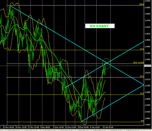 pound ha chart @ 14-1-2010.PNG‏