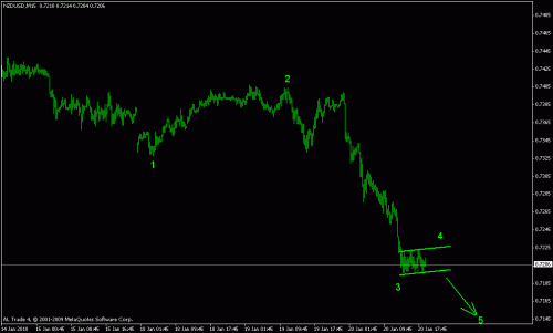 nuzusd2.gif‏