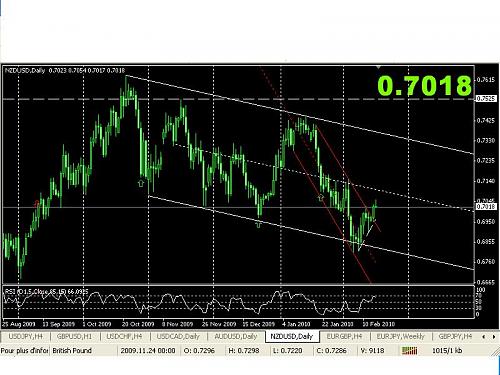 nzd.JPG‏