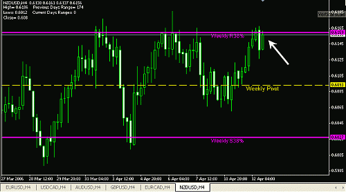 nzd.gif‏