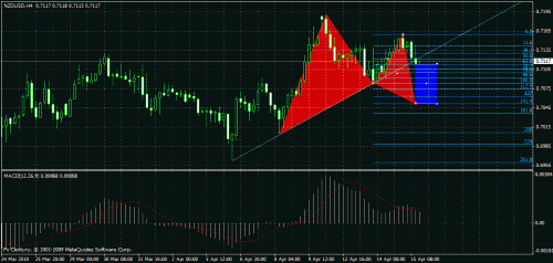 nz4h.gif‏