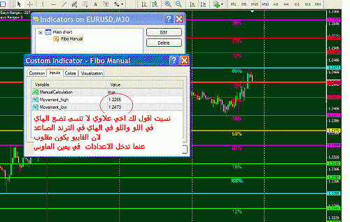 eur weekly.gif‏