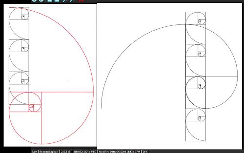 Fibonacci-Spirals.jpg‏
