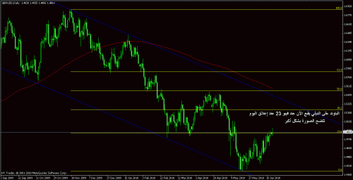 pound daily.gif‏