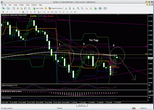 nzd tri top.gif‏