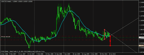 usdcad triangle weekly 4-8-10.gif‏