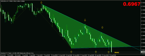 nzd.gif‏