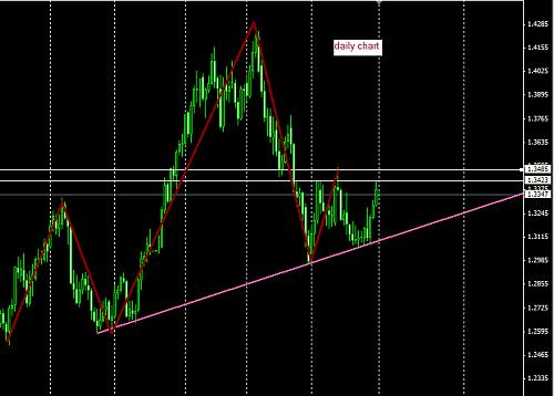 daily euro chart @01-01-2011.PNG‏