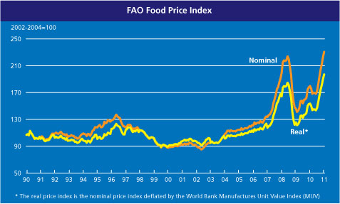     

:	FAO January.jpg
:	59
:	35.1 
:	261063