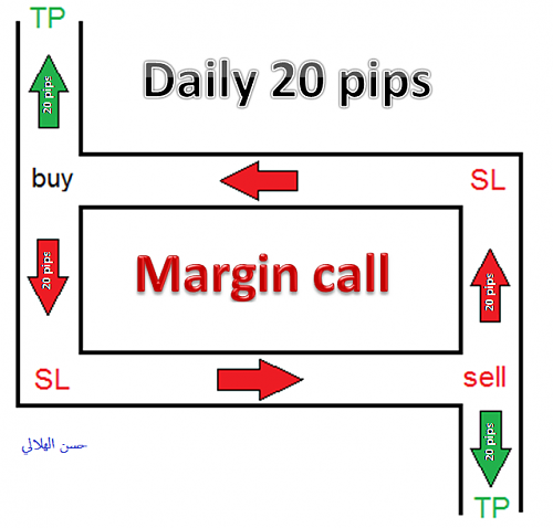     

:	daily20pips.png
:	76
:	76.1 
:	261726