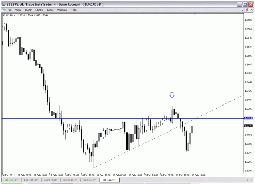 t7dees eurcad.gif‏