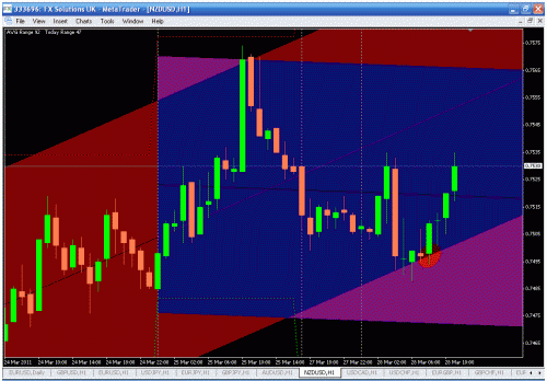 nzd.gif‏