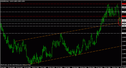 eurusd daily3.gif‏