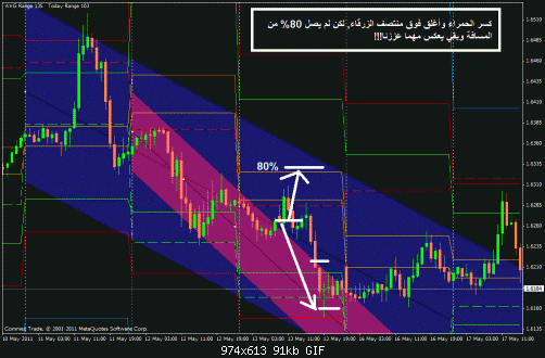 gbp8.gif‏