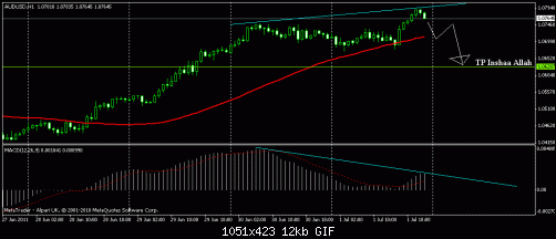     

:	audusd 1h 03.07.2011.gif
:	46
:	12.1 
:	276759