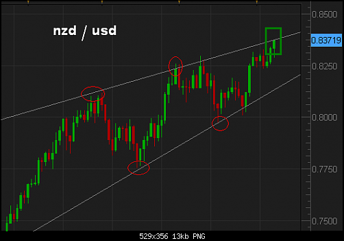 nzd7.PNG‏