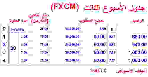 FXCM Excell.jpg‏