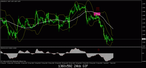 euro.gif‏