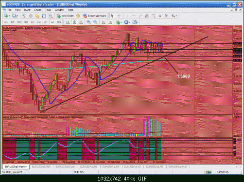 weekly for arabic trader.gif‏