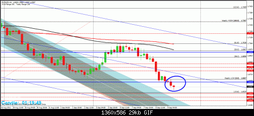 eurnzd4h.gif‏