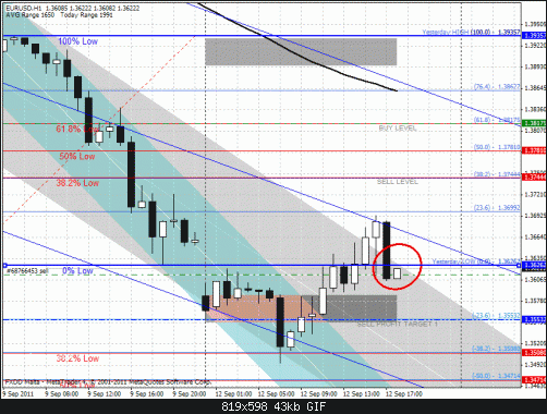 eurusd1.gif‏