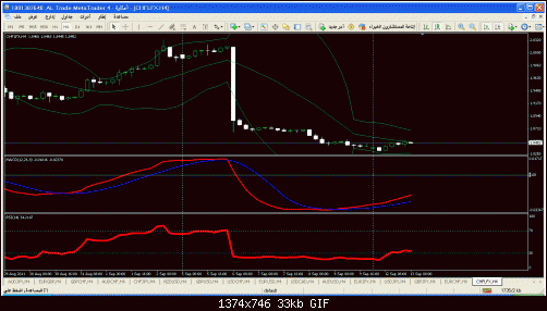 chf index.gif‏