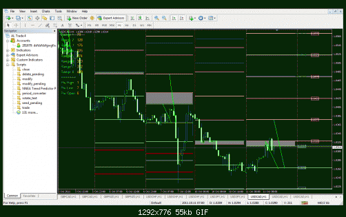 usd cad.gif‏