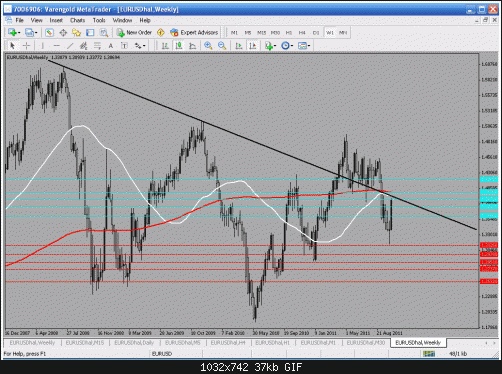 weekly with 50 sma2222.gif‏