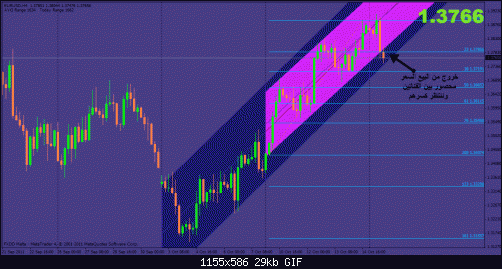     

:	eur 4h.gif
:	14
:	29.5 
:	290728