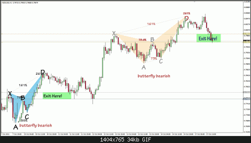 nzd.gif‏