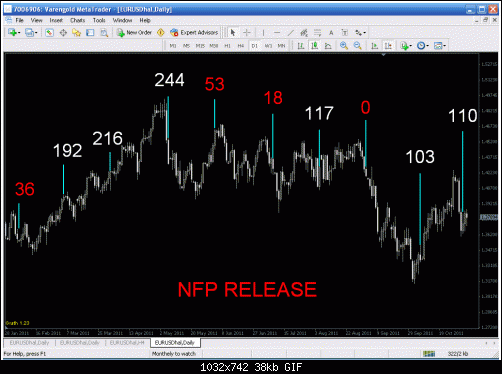 nfp release.gif‏