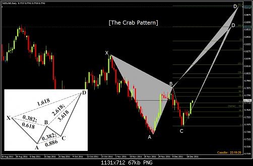 nzd1.png‏