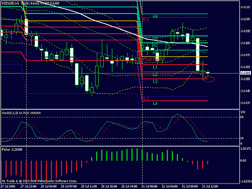 nzu usd.gif‏